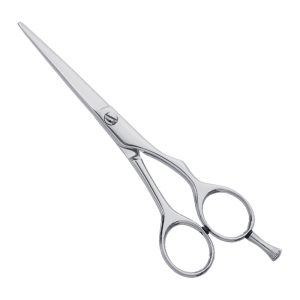 Professional Hair Cutting Scissor